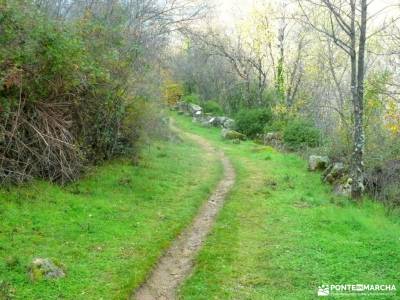 Ruta de los Castaños, Rozas de Puerto Real;viajes de aniversario puente 12 octubre puente de la con